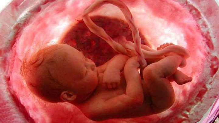 Dr. Kağan Kocatepe Videoları: Gebelikle İlgili Binlerce Video